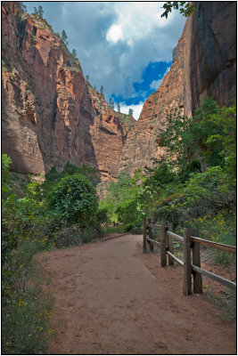The Trail to The Narrows