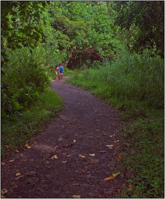 Trail to a Beach