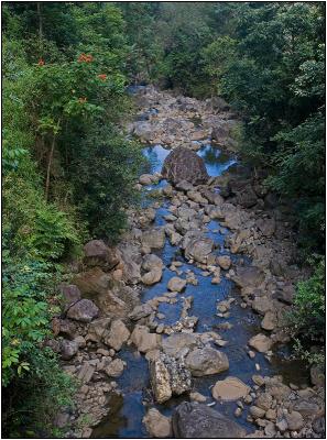Rocky Stream