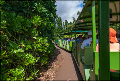 Tram Ride