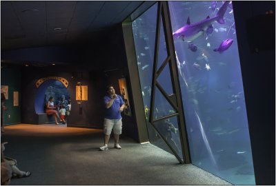 Ocean Center Aquarium