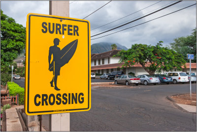 Surfer Crossing