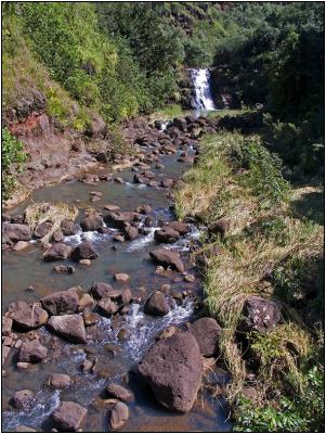 Down Stream from Waimea Falls
