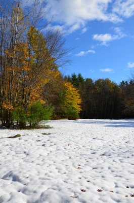 1DS_0395.jpg