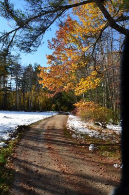Colors of A New Hampshire Fall
