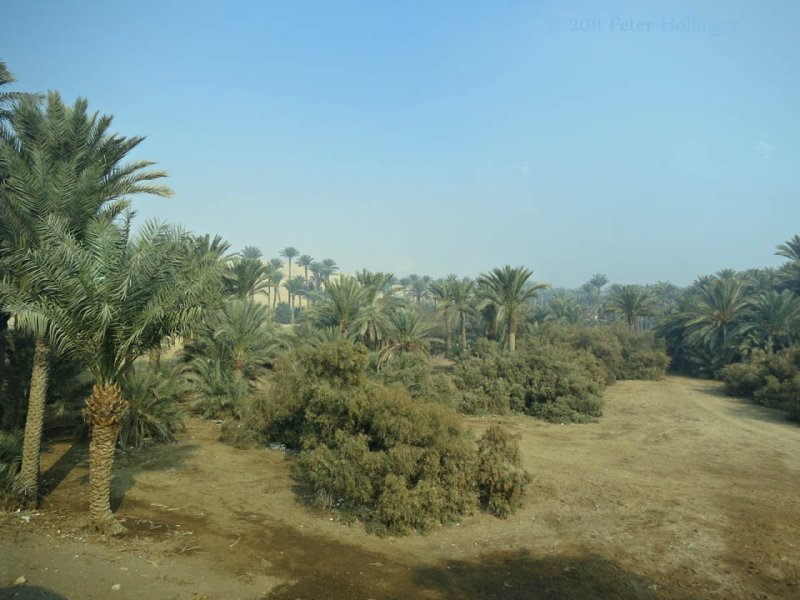 Approaching Desert Sakkara Egypt