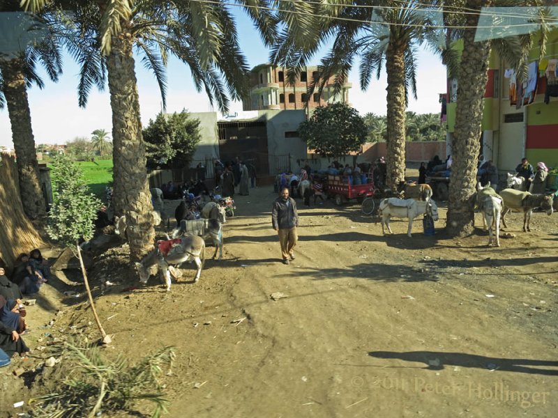 Roadside Scene Sakkara