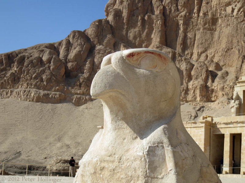 Head of Falcon at Hatshepsut's Mortuary Temple