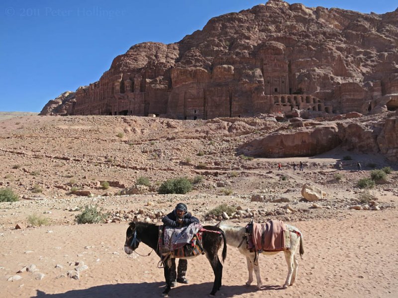 Petra Donkeys