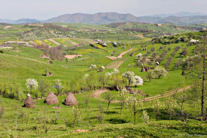 Maramures Countryside