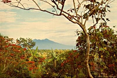 Gunung Salak