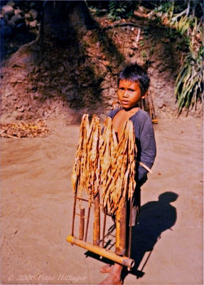 Little Boy With Angklung