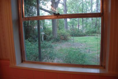Bathroom window