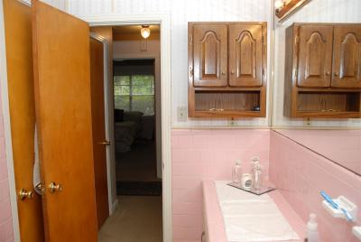 Bathroom looking back into hosue