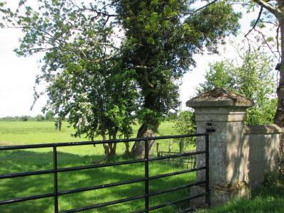 Gate and field