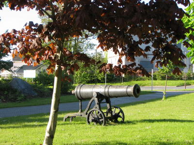 Galway Cannon