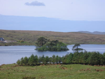 Countryside west of Galway