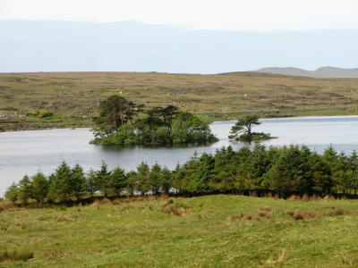 Small islands in lakes abound