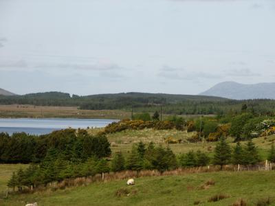 Countryside west of Galway