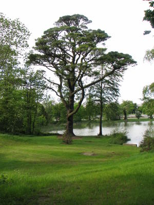 Park, Dublin