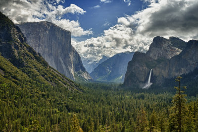 Yosemite/Sequoia National Parks 2011