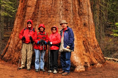 Larry, Margaret Ann, Glynda, Jim & Giant Sequoia