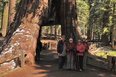 Jim, Glynda, Margaret Ann, & Larry at the California Tree