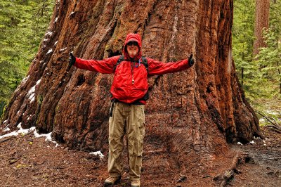 Larry & Sequoia tree