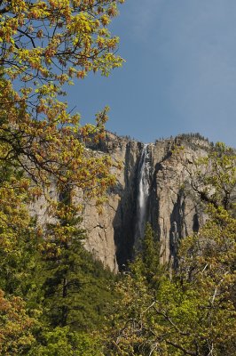 Horse Tail Falls