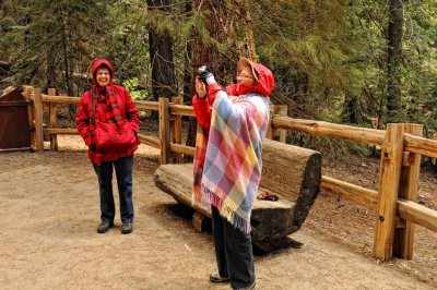 Glynda and Margaret Ann at Grant Grove