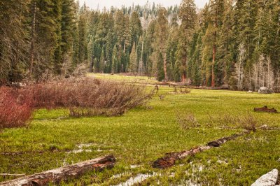 Crescent Meadow