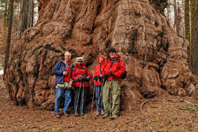 Jim, Glynda, Margaret Ann, Larry and a Giant Sequoia