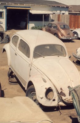 1955 Beetle