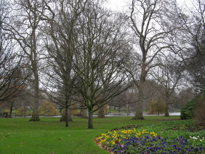 St James's Park in winter