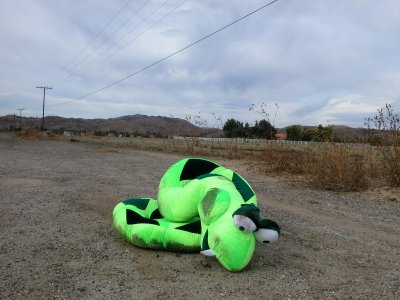 why did the snake cross the road