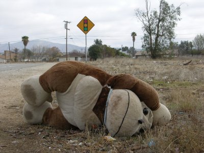 Lost
