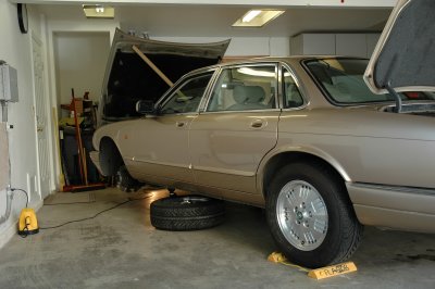 new shocks