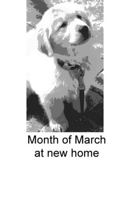Month of Marchat new home