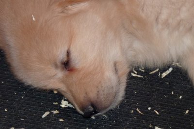 So tired!