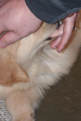 Nursing a finger