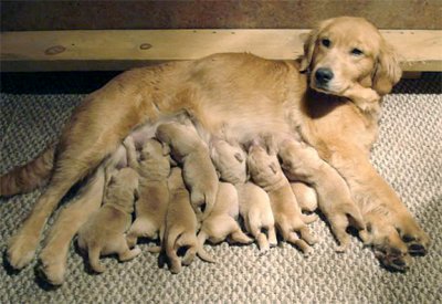 Hanna nursing