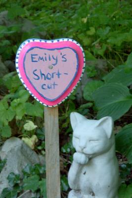 Emily's Shortcut