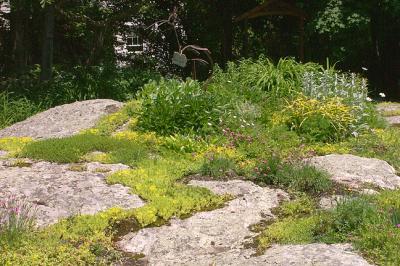 Rock Garden