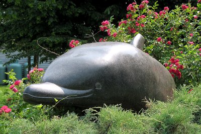 Dolphin sculpture, in garden