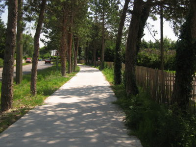 Safety road for bicycles