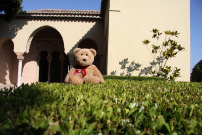 In  the garden of La Alcazaba