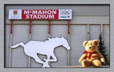 Home of the Calgary Stampeders