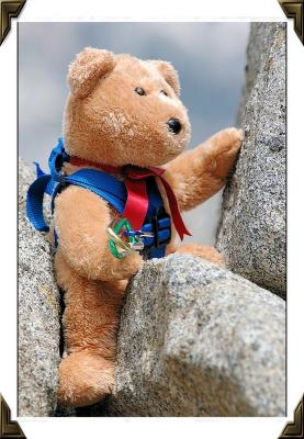 Frimpong the Climbing Bear