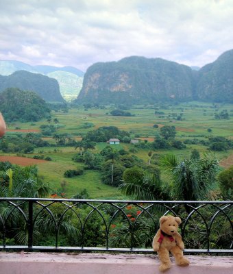 Can you see the mogotes in the background?