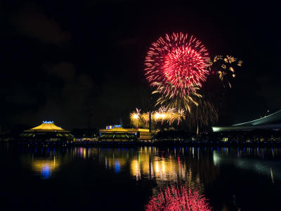 NDP 2006